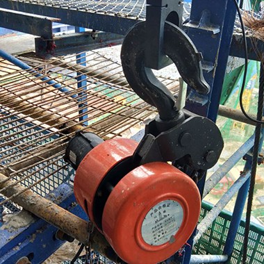 环链提升机的常见种类有哪些